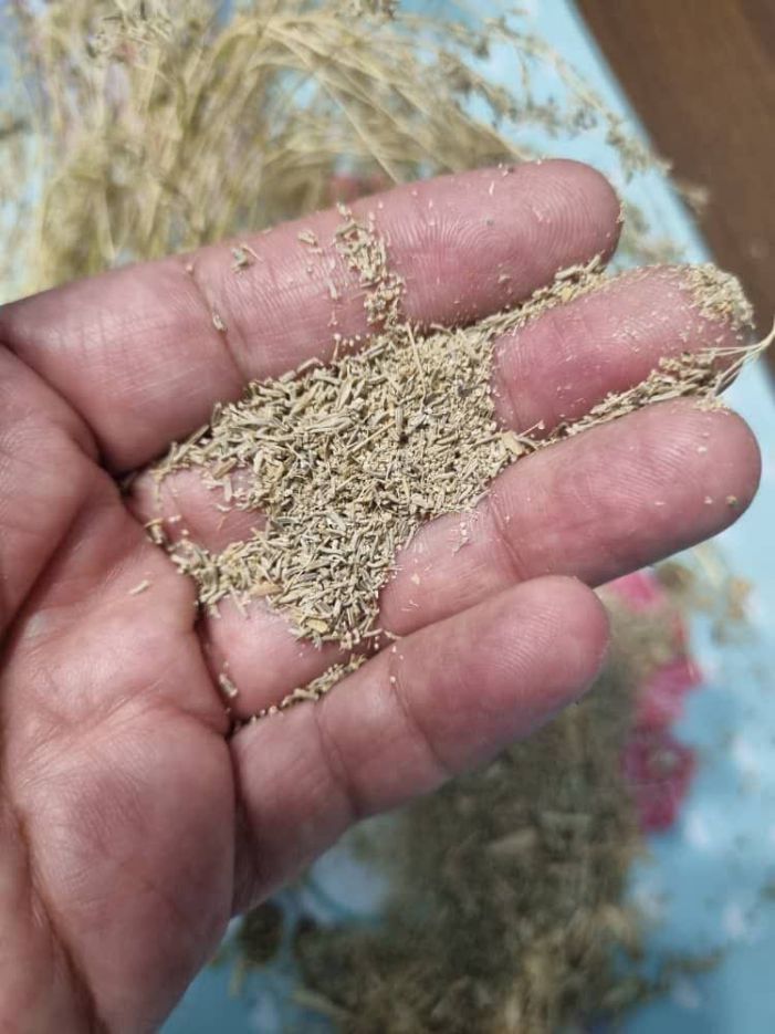 غاز یاقی چیست؟ غاز یاقی چیست؟